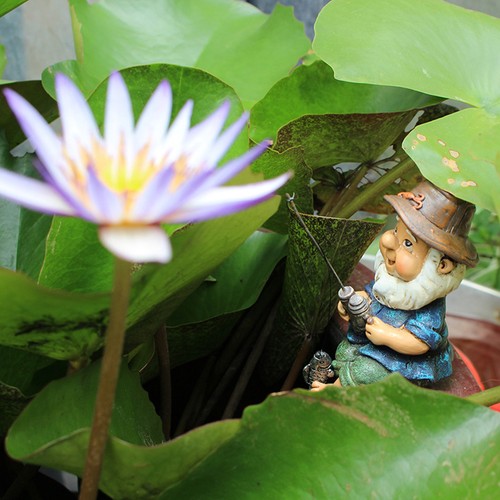Fishing gnome sitter - sitter, uv