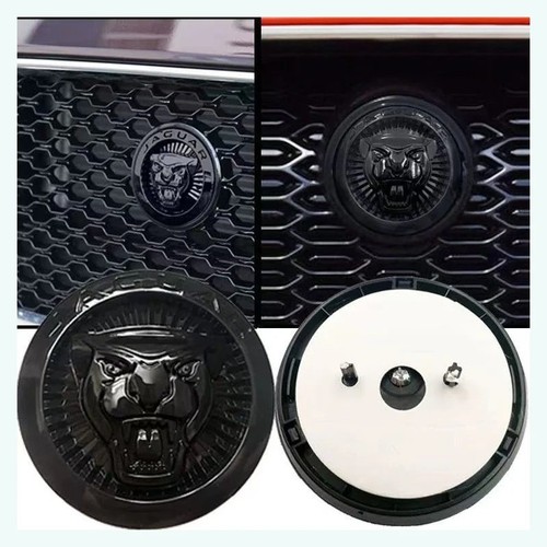 Car front grille - grille, emblem