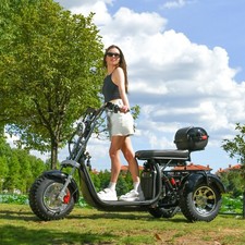 Aldult Fat Tire Scooter 2000W Max Speed 45KM/H Max Loda 250KG Electric Tricycle