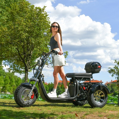 Aldult fat tire scooter - scooter, 2000w