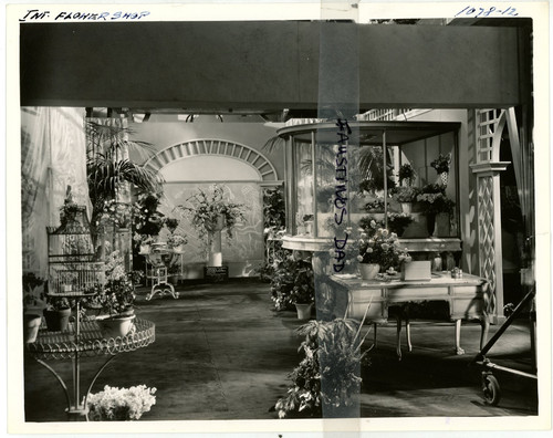 Vintage 8x10 production phot - vintage,