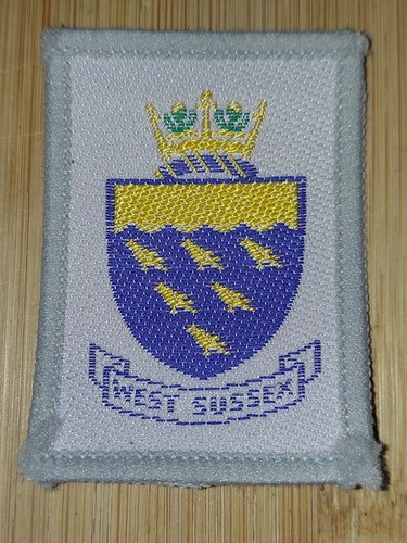 Scouting county single - uk,