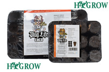 Plug Life Coco Propagation