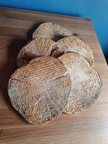 Natural wood log slices - wood,