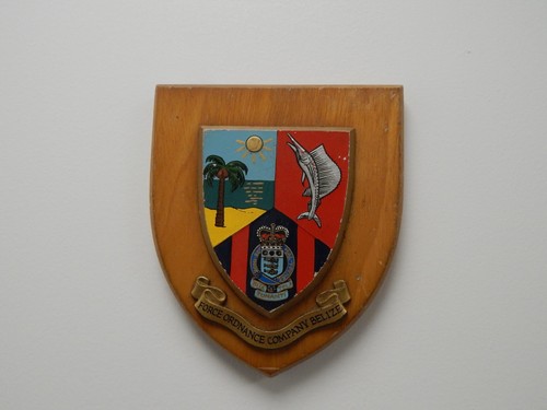 Force ordnance company belize