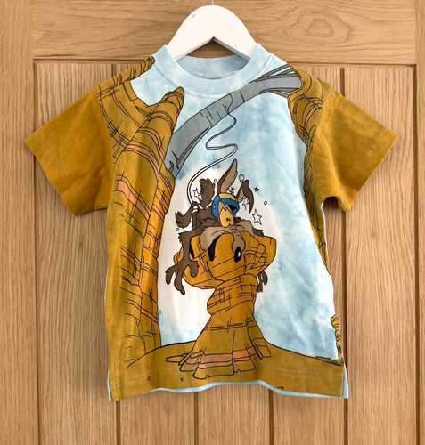 Looney tunes wile - tunes, coyote