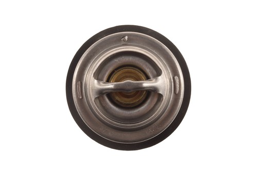 Bogap premium thermostat - thermostat, for