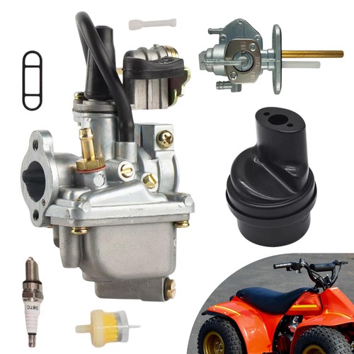 Carburetor air filter - carburetor, w/air