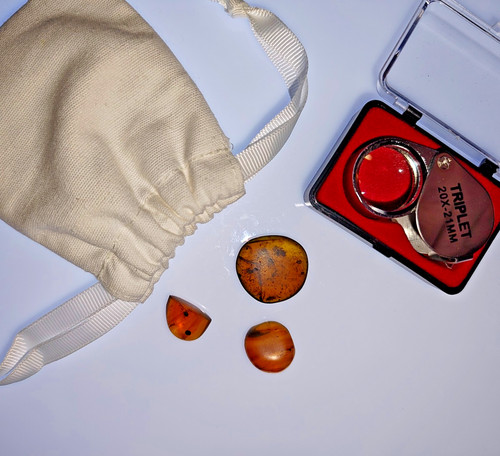 Genuine fossil burmese - fossil, amber