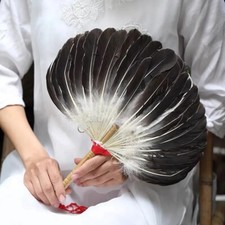 Peacock Feather Fan Kids