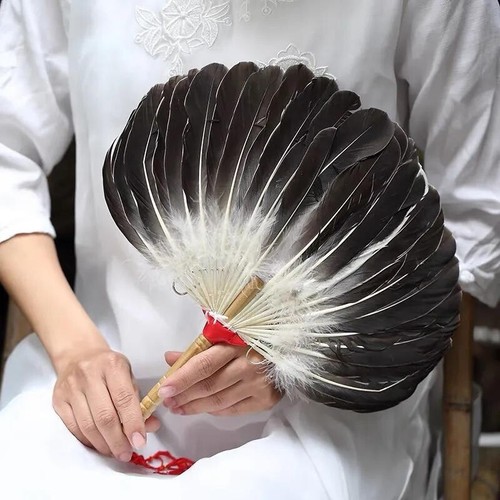 Peacock feather fan kids - feather,