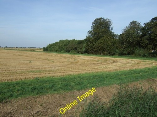 Photo 6x4 farmland crowtree - photo, farmland,