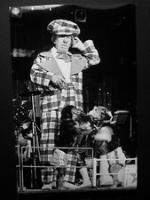 Circus Clown & two 'Dogs