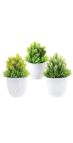 Artificial plants pots - plants, in