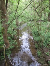 Photo A1 Pow Gill Bolton Wood Lane A tributary of the River Weaver. c2015