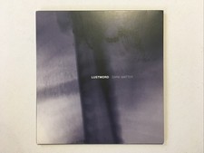 Lustmord Dark Matter Like
