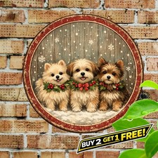 Yorkshire Terrier Puppies