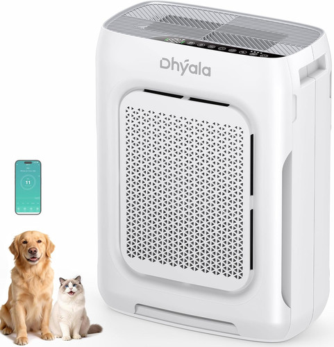 Air purifier for home - home, large