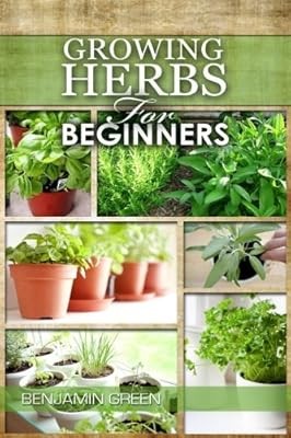 Growing herbs for beginners - growing,