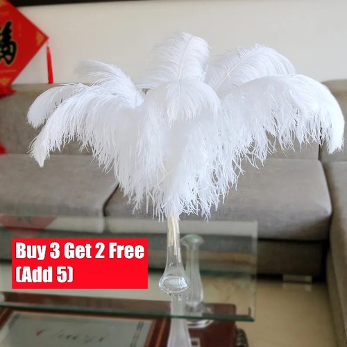 10pc 30cm large ostrich - 10pc,