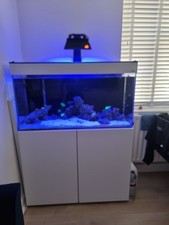 Closing Down Tank, AquaEl 200 Opti White