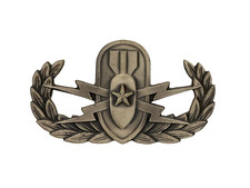 GENUINE United States U.S. Army SENIOR Army Bomb Disposal metal badge. Full size