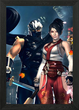 Ninja Gaiden Japanese Framed