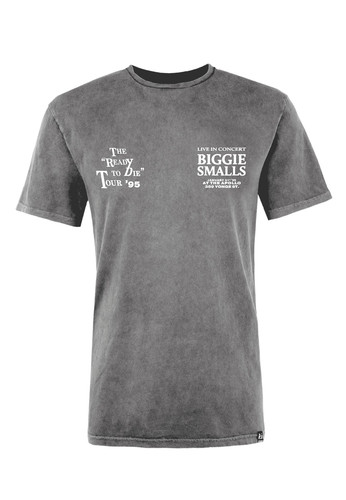 Biggie smalls concert - smalls,