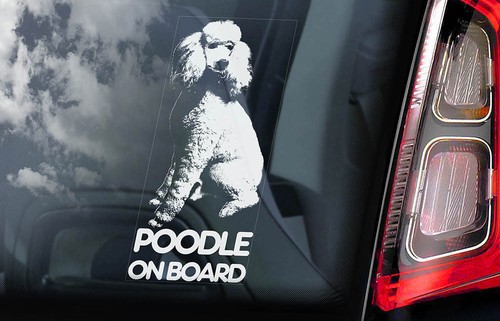Poodle car sticker - poodle,