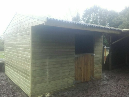 Single horse stable 12 - x, 12'