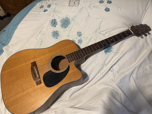 Takamine series string - g-series,