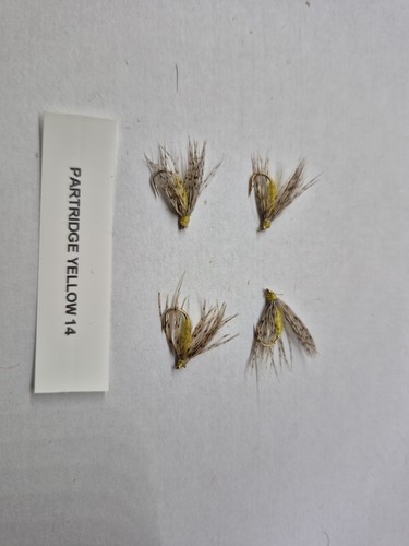 Partridge and yellow - partridge, wet