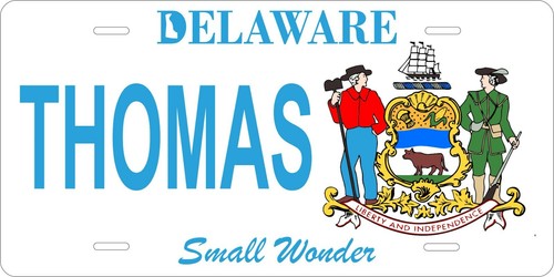 Delaware small wonder license - small,