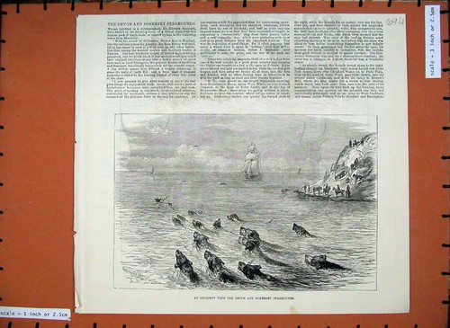 Old antique print - old,