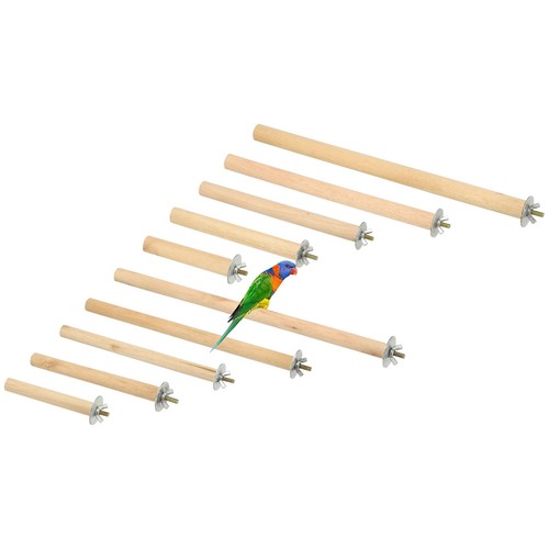 Pcs parrot perch wooden - pcs,