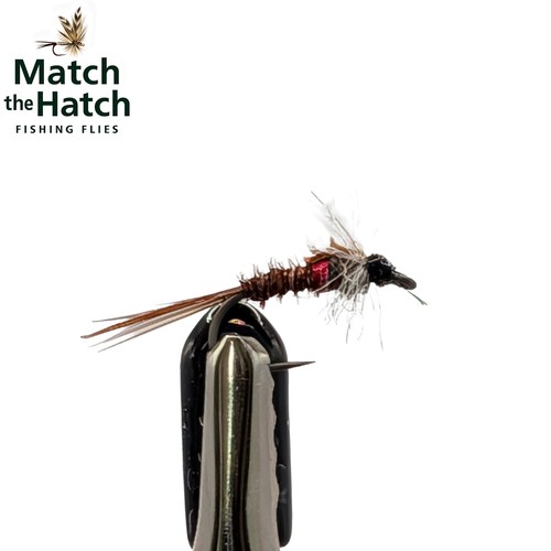 Muskin hot spot pheasant - muskin,