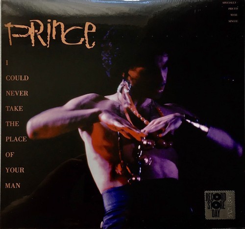Prince could never take - 12", i