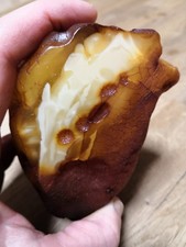 Raw baltic amber - baltic,