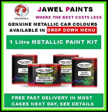 VAUXHALL PAINT ( 1 Litre KIT )