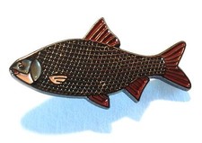 Roach Freshwater Game Fish