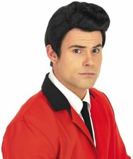 Mens 50s Teddy Boy Quiff Wig for Adult 1950s Rock N Roll Fancy Dress Costume