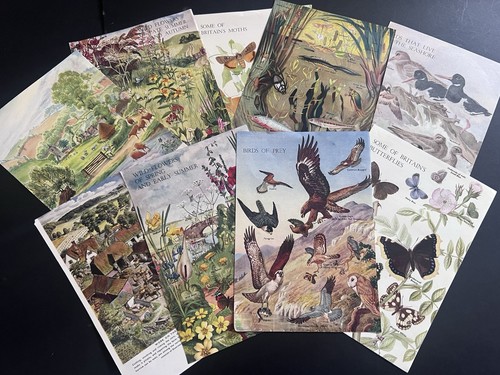 Vintage animals birds wildlife - vintage,