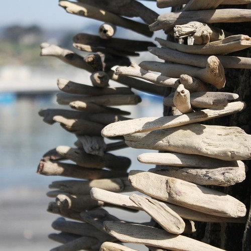 Driftwood garland long - garland, |