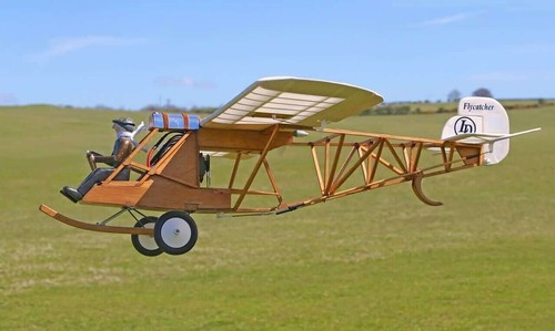 Sarik hobbies flycatcher - sarik,