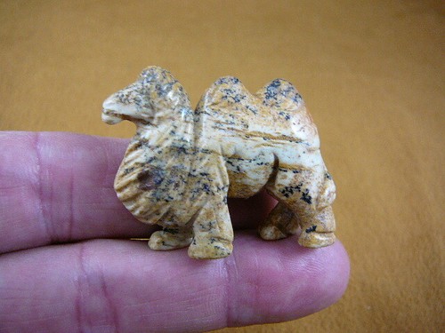 Little tan camel - little,