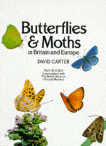 Butterflies and moths - and,