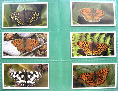 British butterflies john - british,