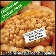 Spring Planting Onion Sets