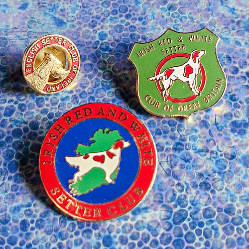 Vintage setter dog club badges - setter,