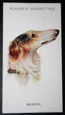 BORZOI  Russian Wolfhound  Vintage 1929 Dog Portrait Card  JE23MS